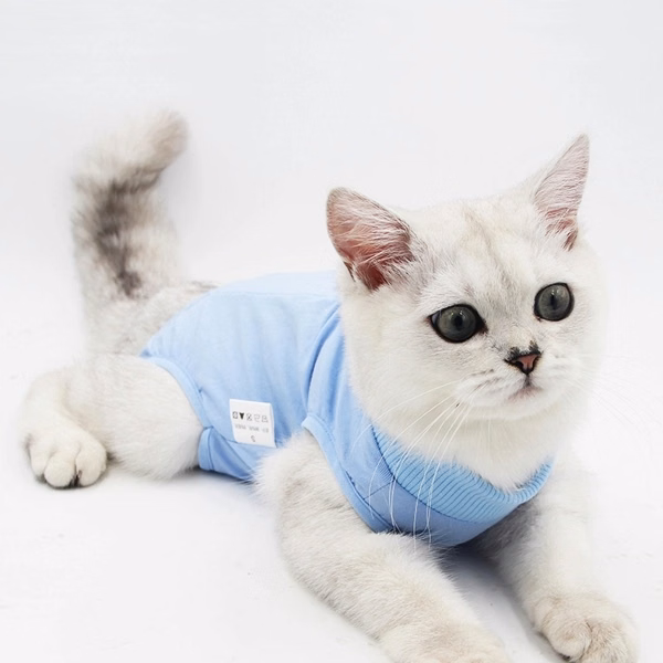 Cat Postoperative Recovery Suit