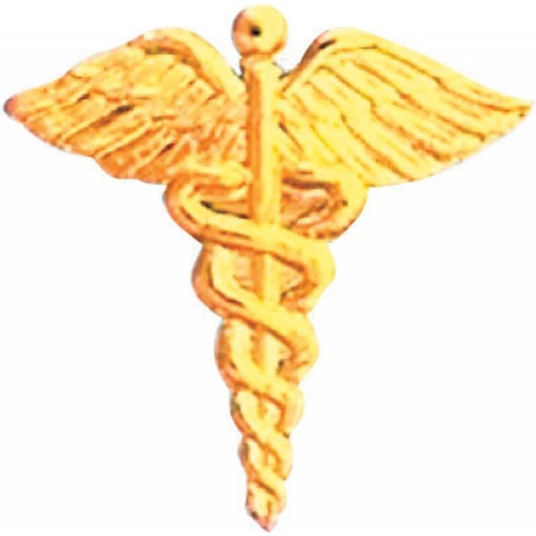 Bright Gold Caduceus Service Lapel Pin 1
