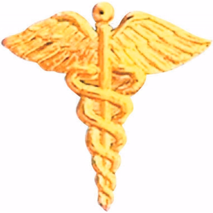 Bright Gold Caduceus Service Lapel Pin
