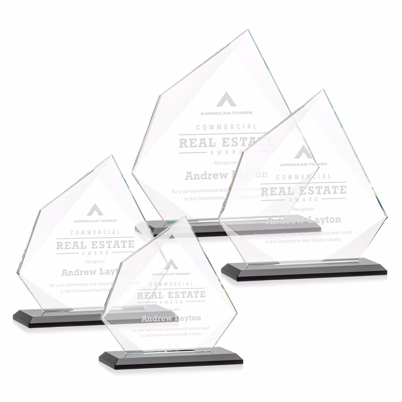 Lexus Award - Black