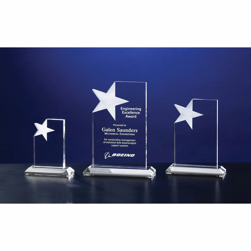 Crystal Voyager Award (8"x6 ")
