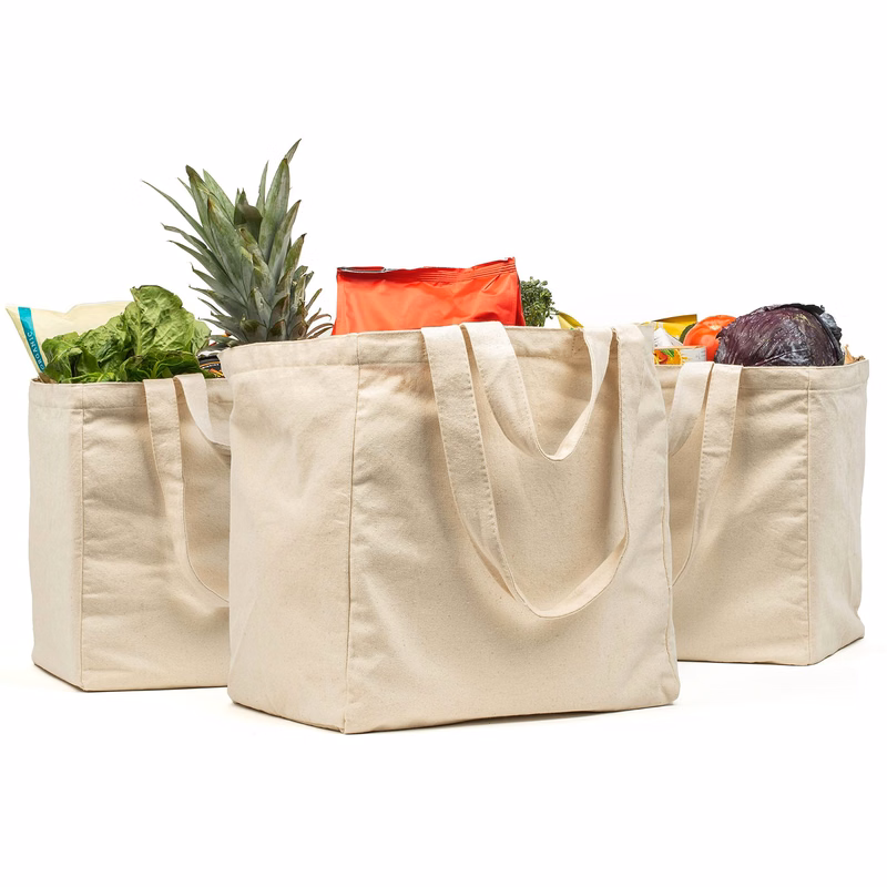 Canvas Grocery Shopping Bags with Handles