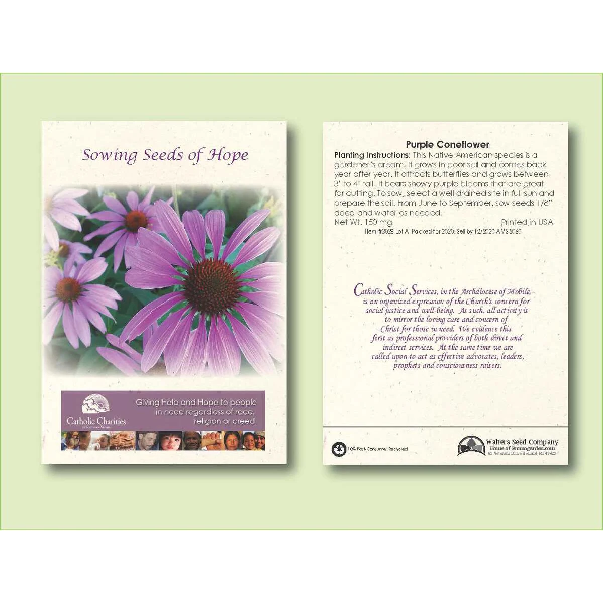 Purple Coneflower Seed Packet - Size 3.25" x 4.5" 1