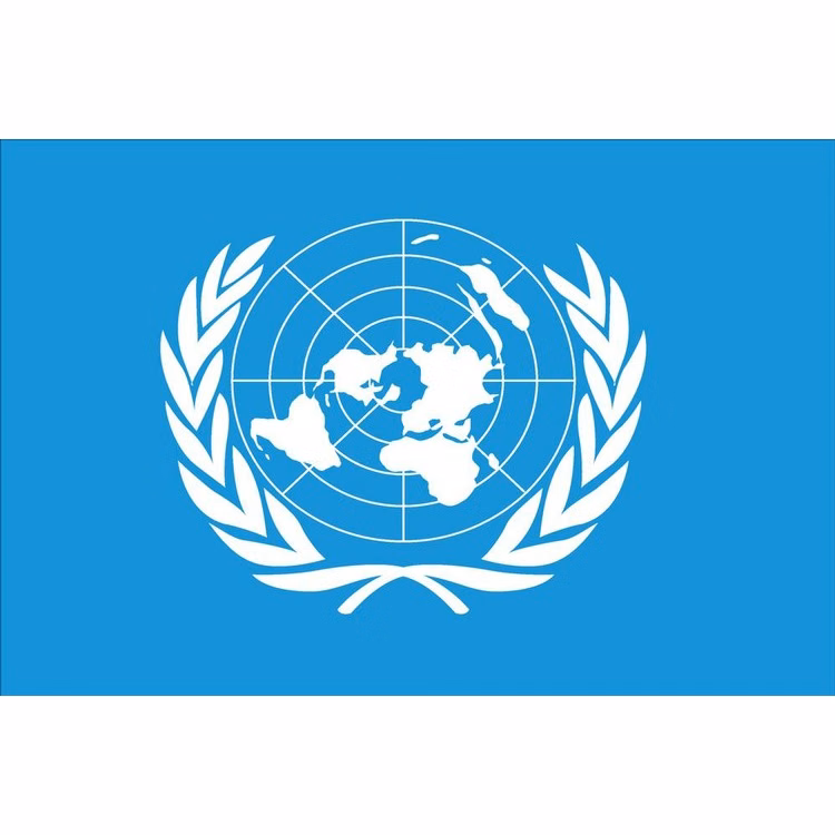 United Nations Flag - 2' x 3' - Nylon