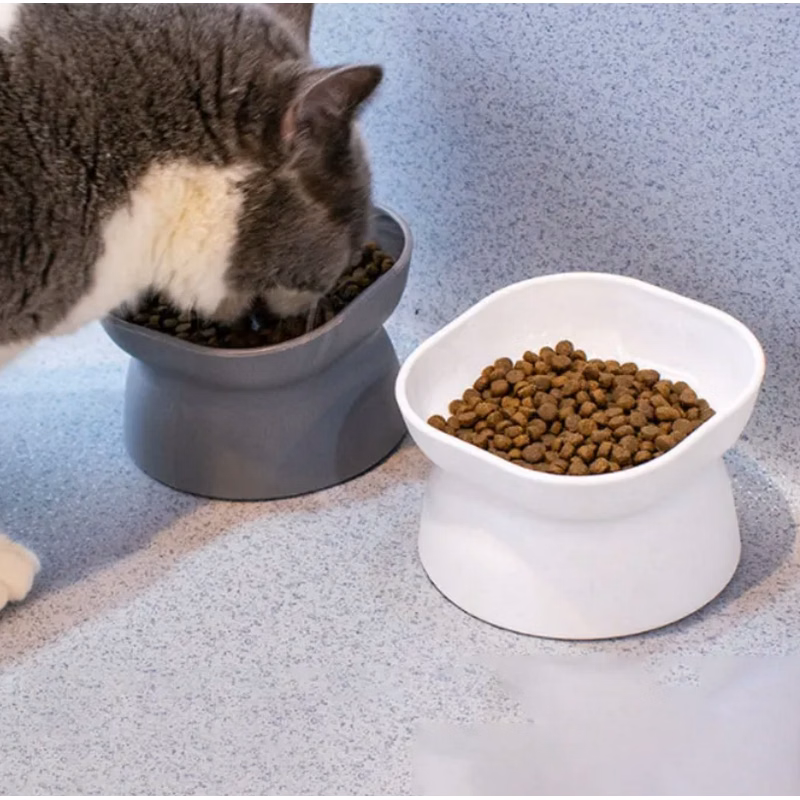 Pet Bowl / Food Dish