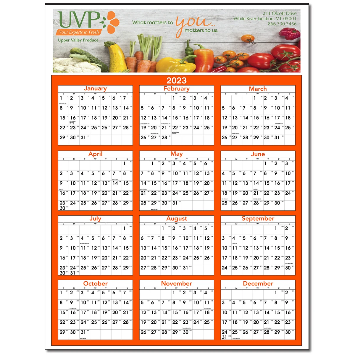 Full Color Yearly View Wall Calendar 1