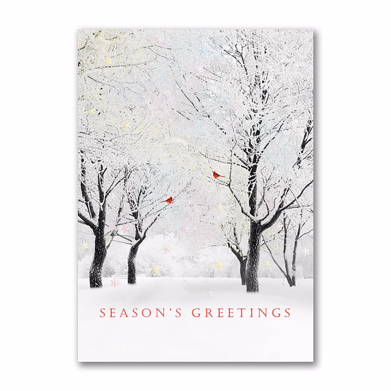 Shimmering Trees Holiday Card