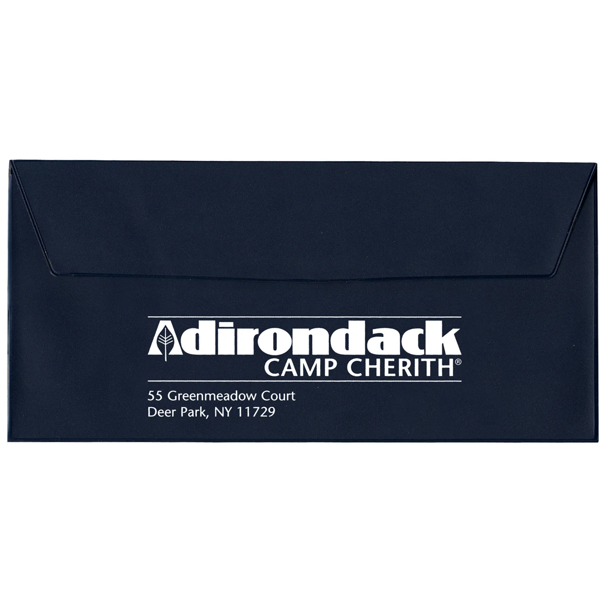 Standard Vinyl Document Case 1