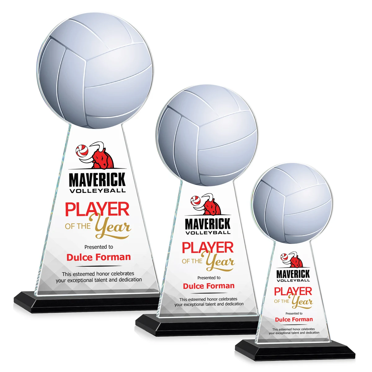 Edenwood Volleyball VividPrint™ Award - Black 1