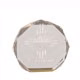 6 Inch Gold Octagon Acrylic Award