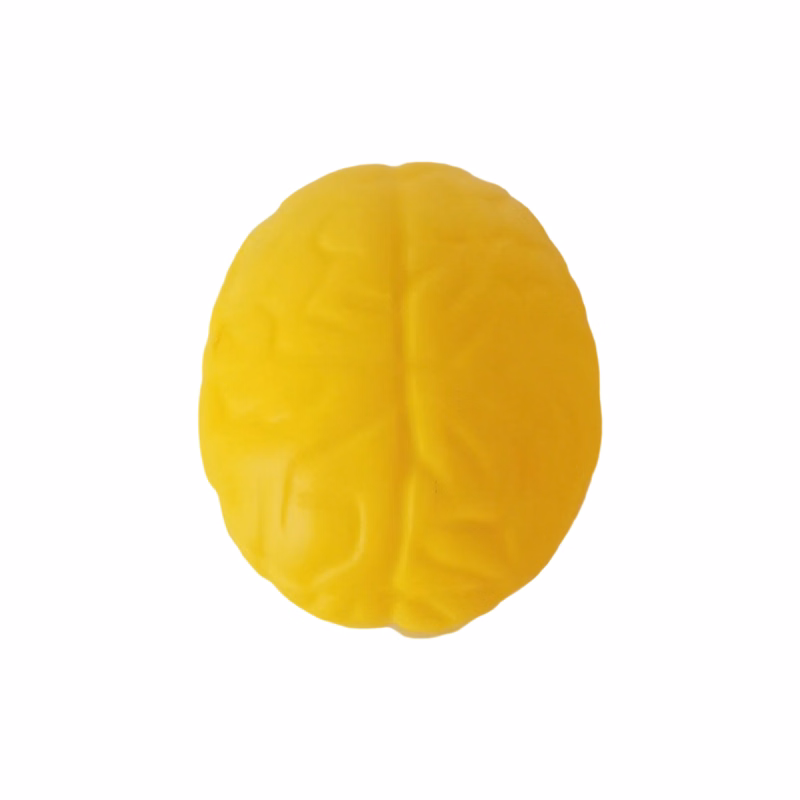 Brain Shape Foam Stress Reliever For Office And Education Use