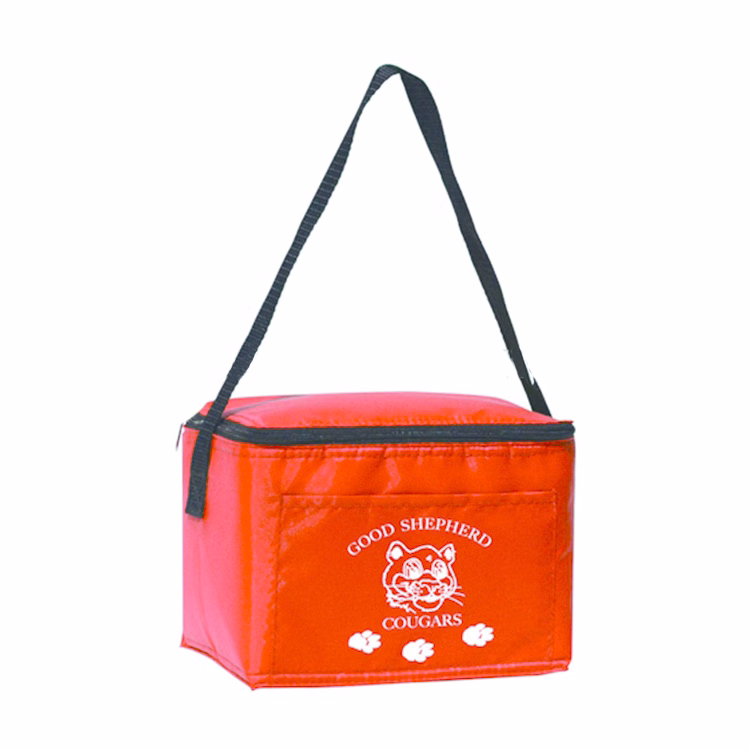 Six Pack Non Woven Cooler Bag