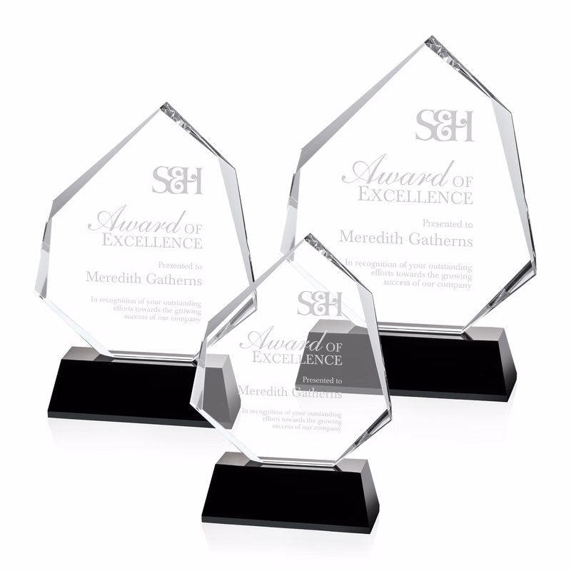 Warner Award - Black