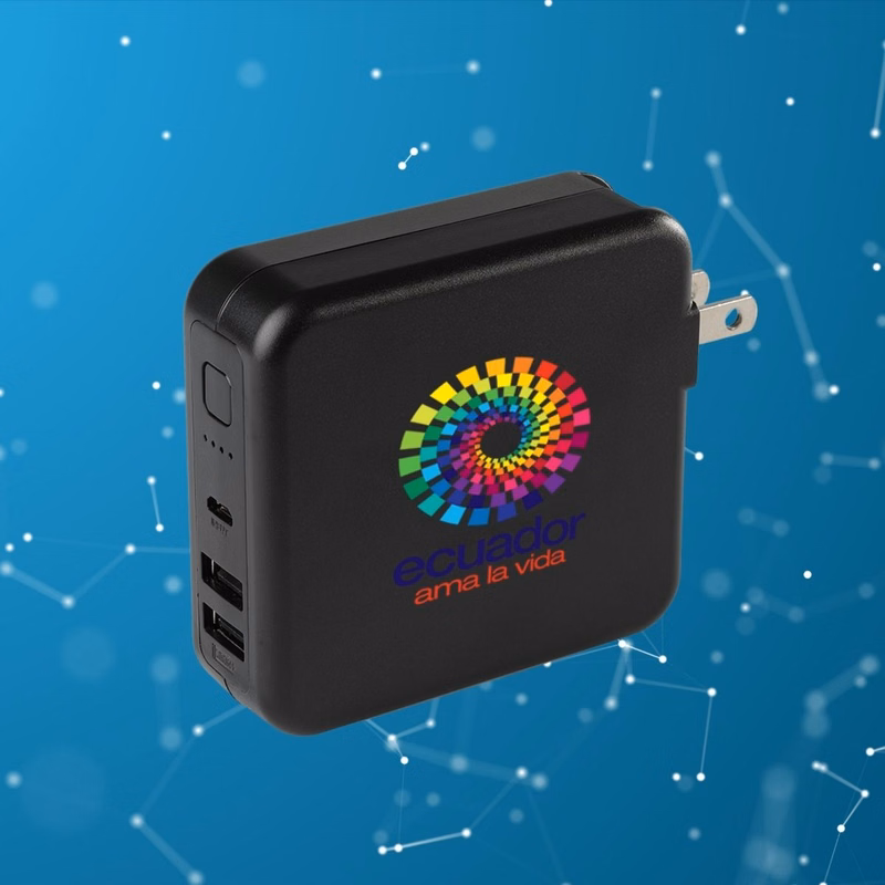 RAVPower Power Bank with Dual USB Wall Charger - 6700mAh