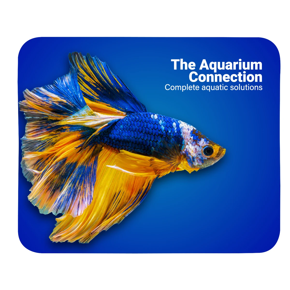 Sublimated Rubber Back Mouse Pad 1