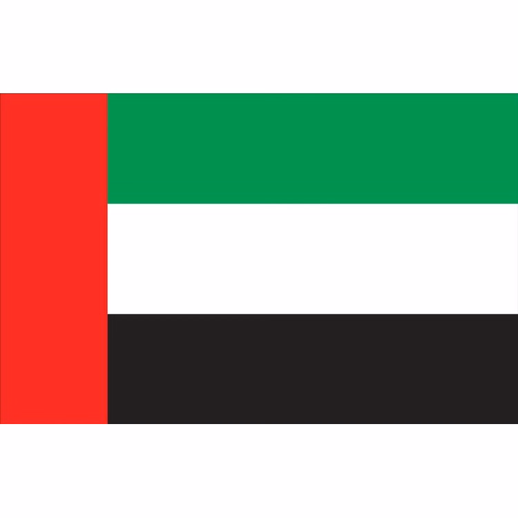United Arab Emirates Flag - 2' x 3' - Nylon