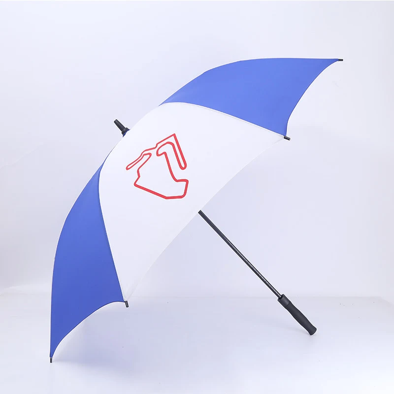 Blue and White Umbrella 1
