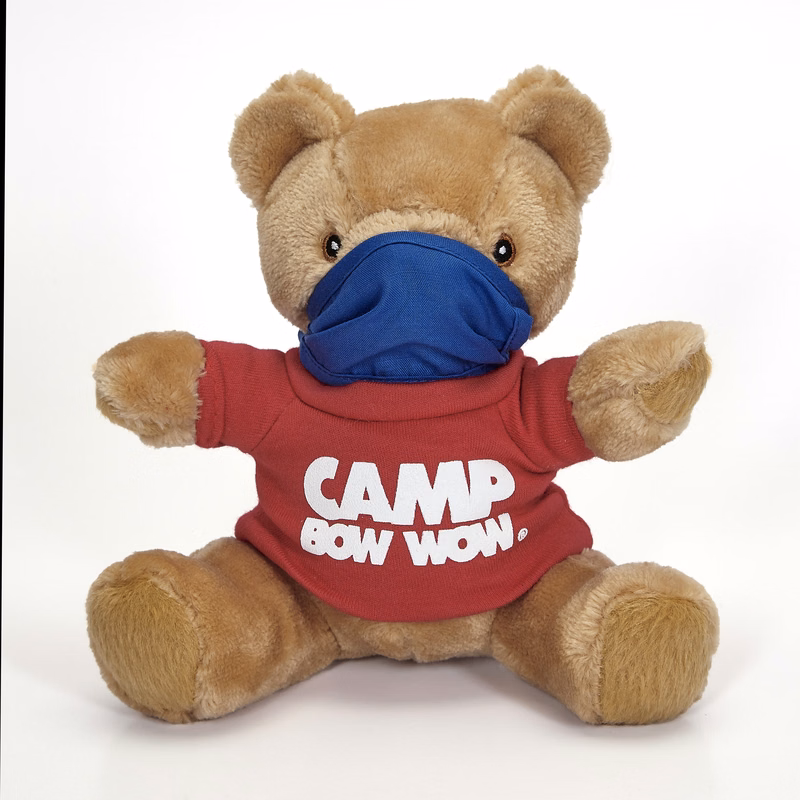 Social distance Bear