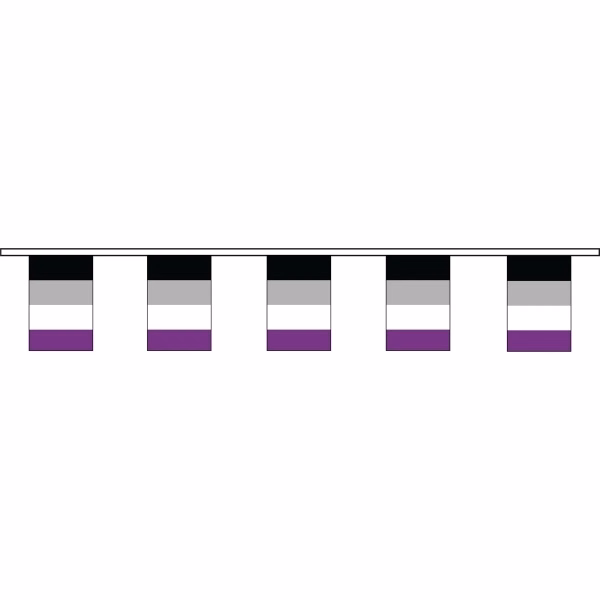 Asexual 60' Streamer