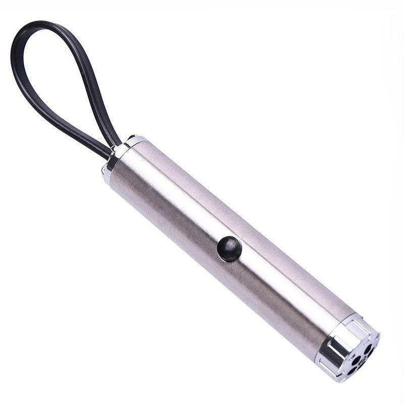 Portable Laser Pointer 1