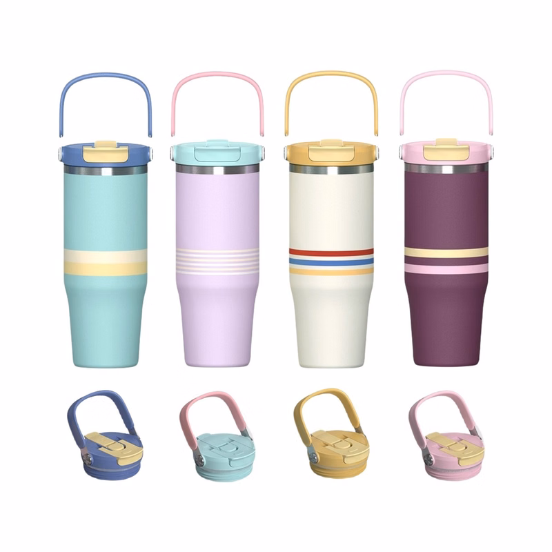 25 oz Stainless Steel Insulated Water Bottle With 2-in-1 Lid