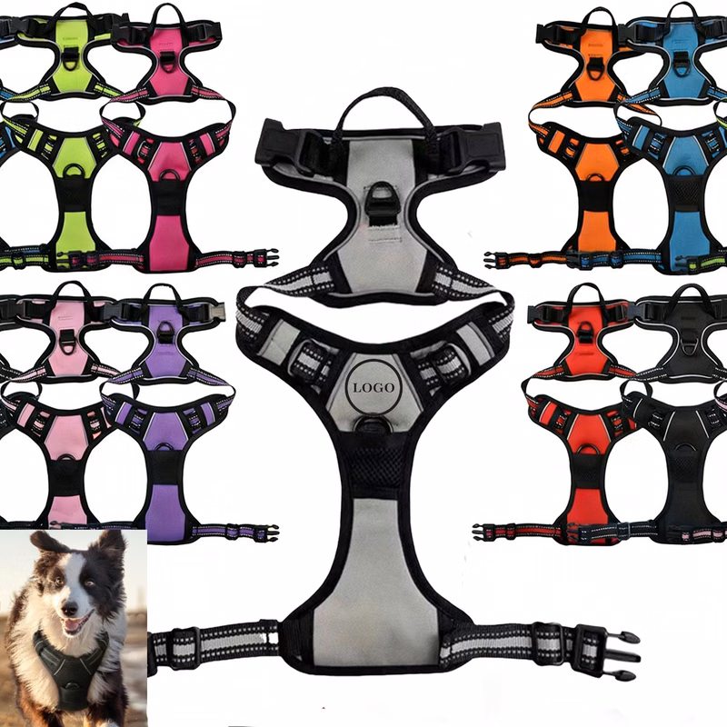 Oxford Cloth Pet Leash for Walking Dog