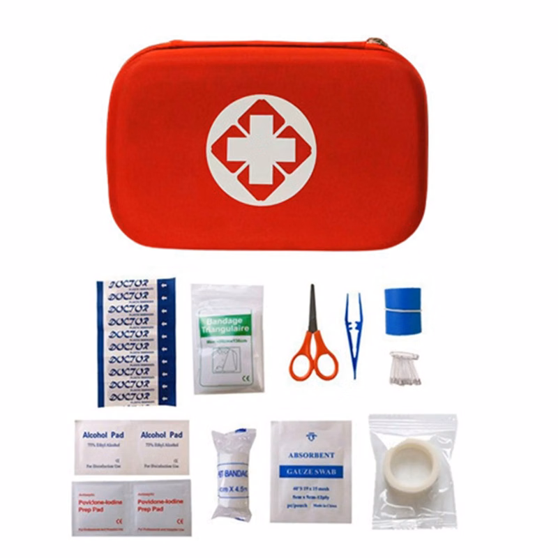Mini First Aid Kit