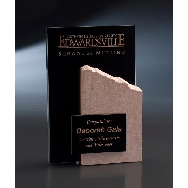 Artistic Expressions Crystal Fine Format 1 Award 1