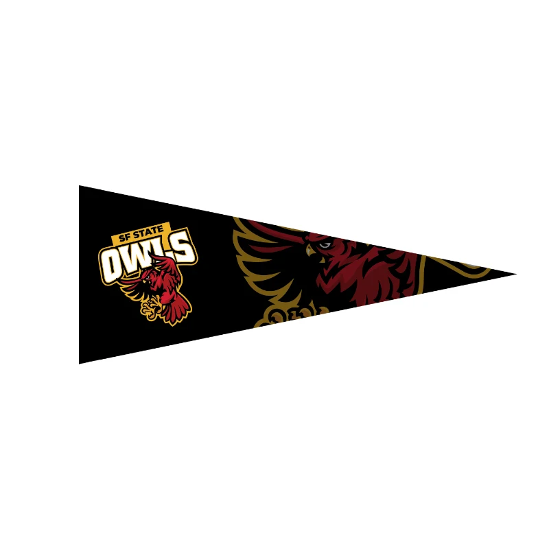 12" x 30" Full Color Felt Pennant 1