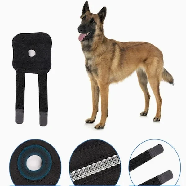 Pet Dog Leg Joint Brace Knee Support Patella Protection Auxi 1