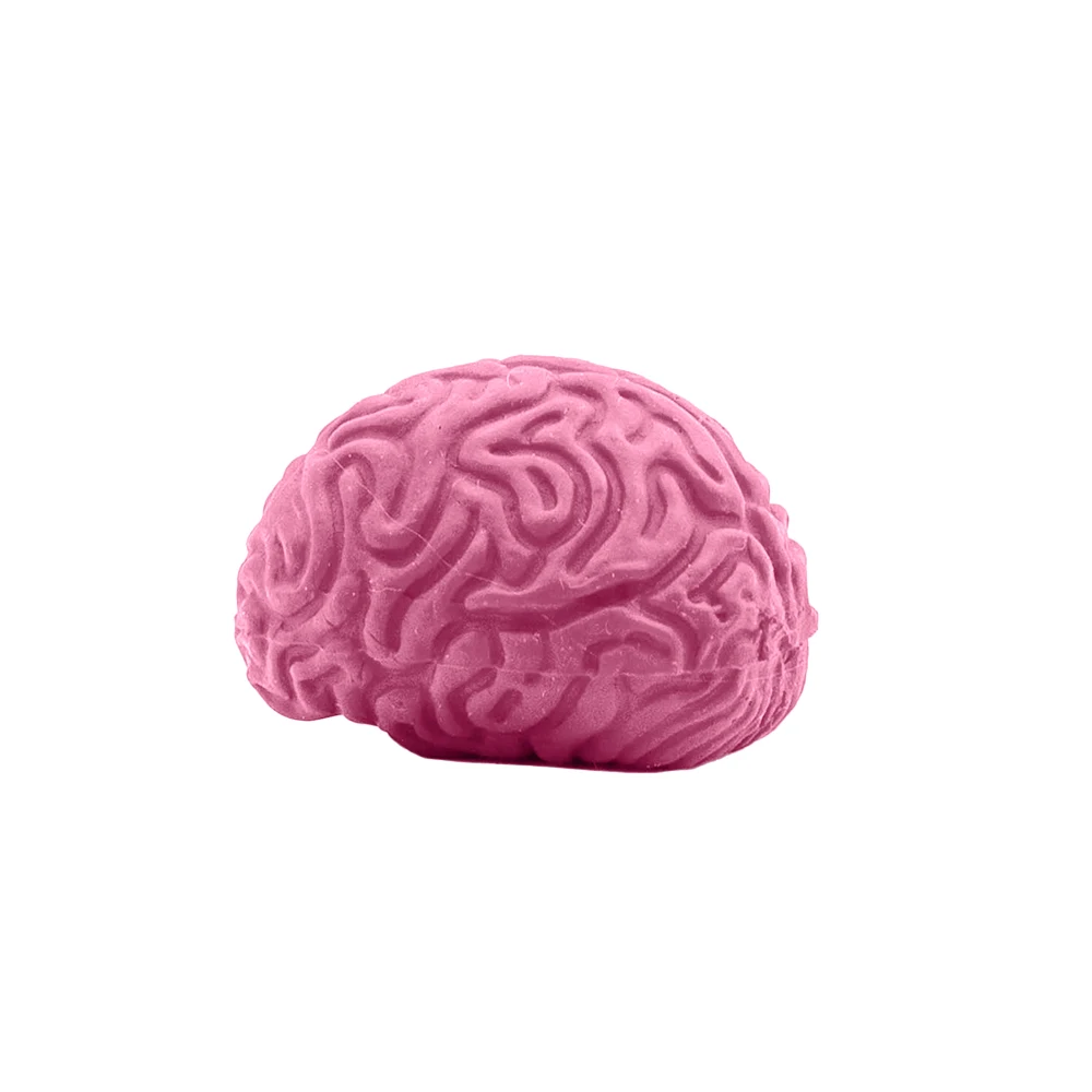 Pencil-Top Eraser Brain 1