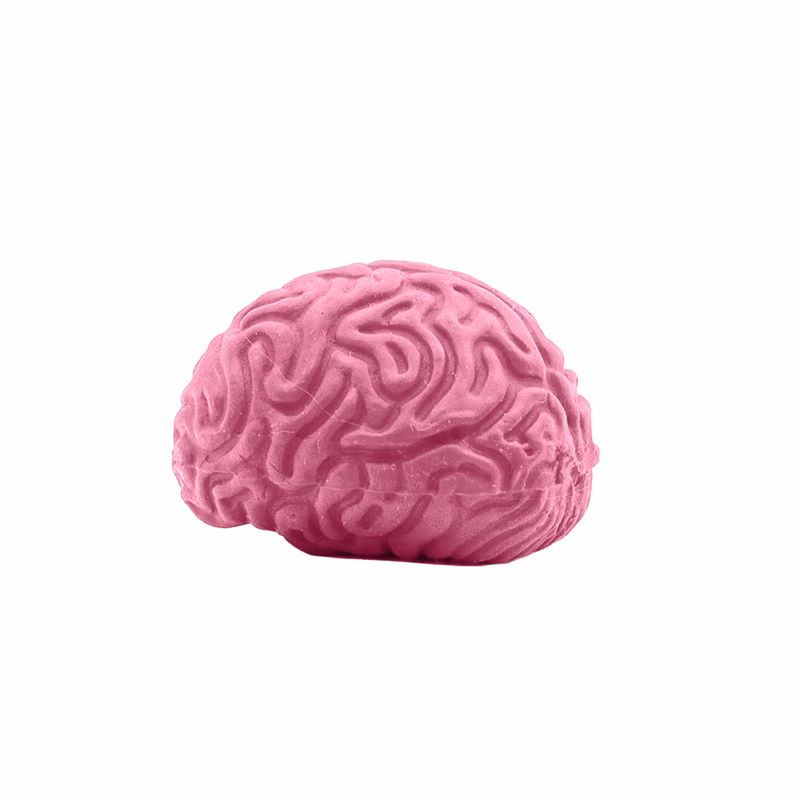 Pencil-Top Eraser Brain