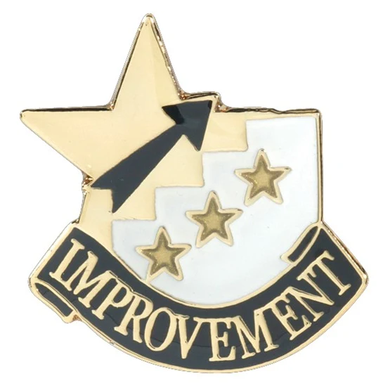 Improvement Academic Achievement Pin 1