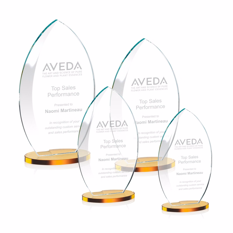 Windermere Award - Amber