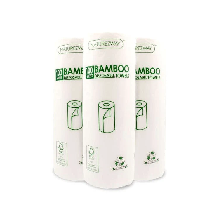 Disposable Paper Towels - 2-Ply 100 Sheet 1
