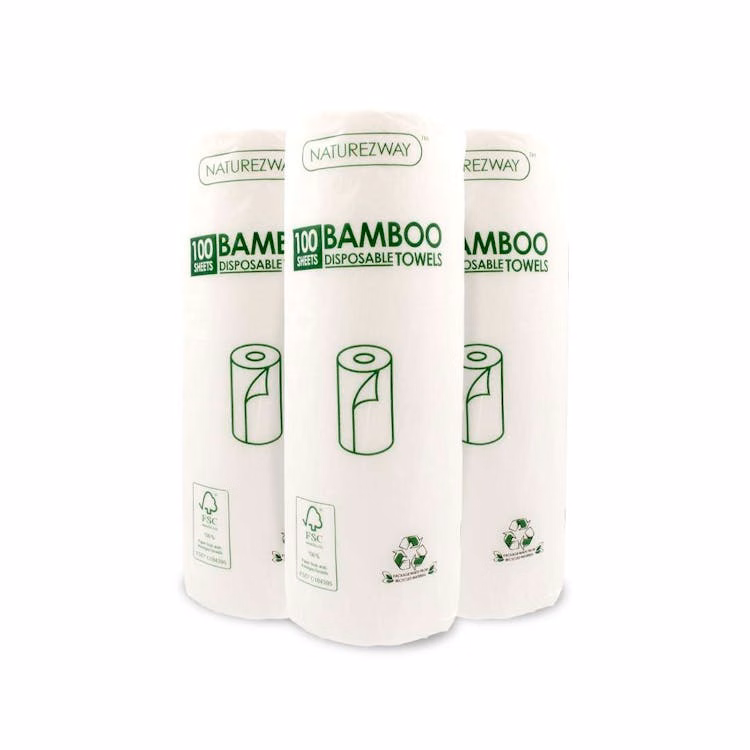 Disposable Paper Towels - 2-Ply 100 Sheet