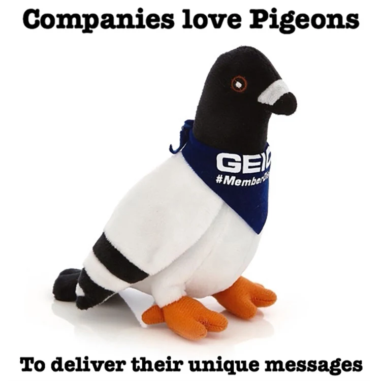 Pigeon plush toy 1