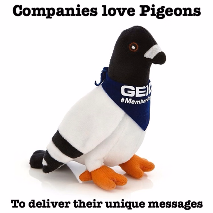 Pigeon plush toy