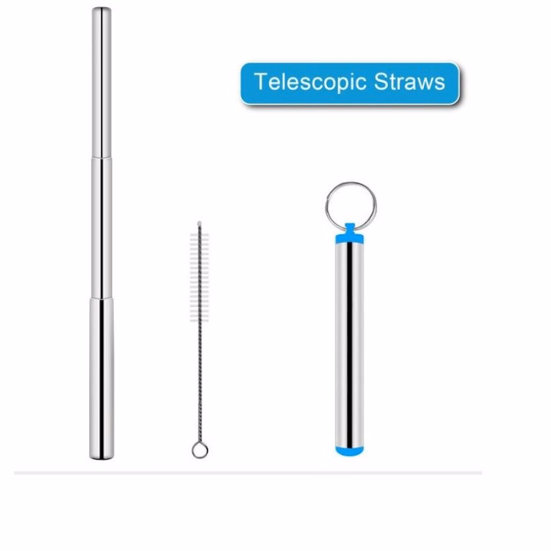 Silver Collapsible Stainless Steel Drinking Straws