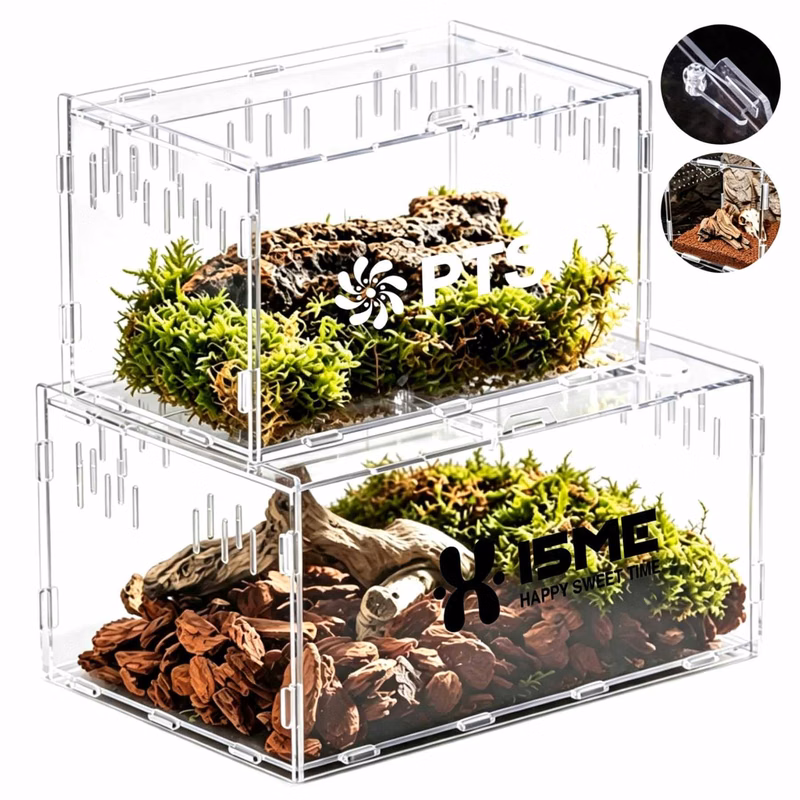 Transparent Acrylic Reptile Feeding Box