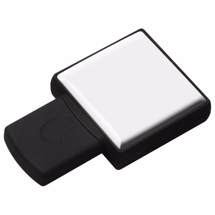 1243FMS - Flash Memory Drive V2.0