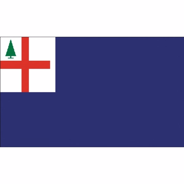 Special Historical Flags - Bunker Hill