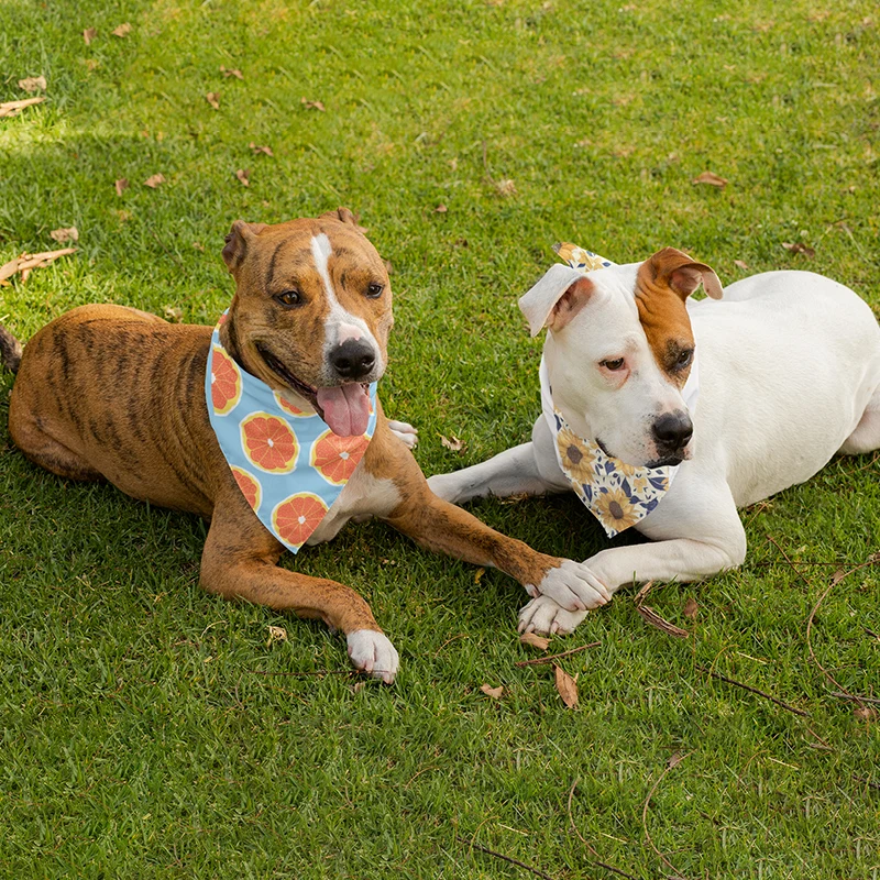 Pet Hemmed Bandana Full Color 20x20 1