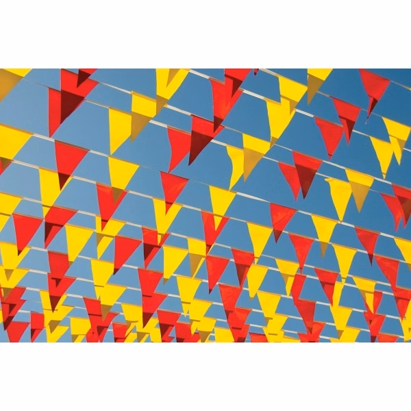105' Semi-Stock Pennant Streamers with 48 Pennants