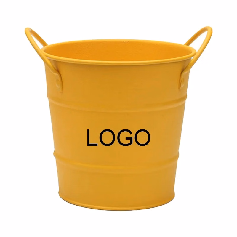 Small Size Metal Bucket
