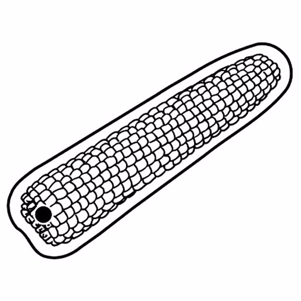 Corn Cob Key Tag - Spot Color
