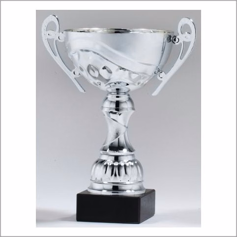 Silver Metal Cup On Marble Base