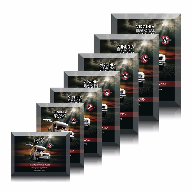 Ramona VividPrint™ Award