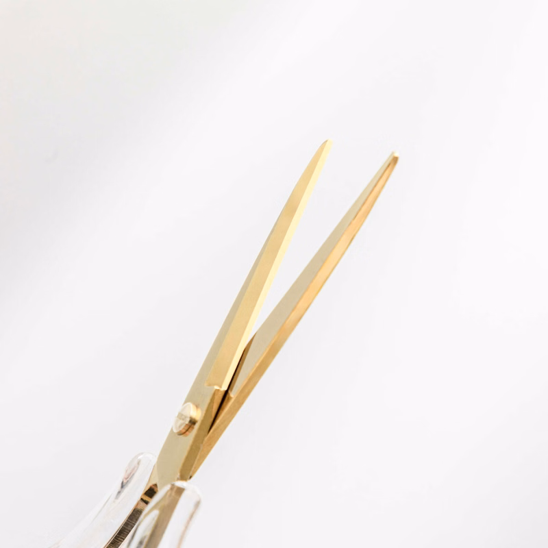 Clear Acrylic Scissors