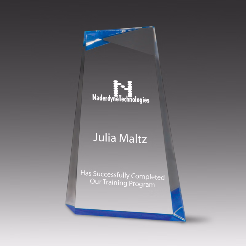 Wedge Facet Award (6"x9"x1")